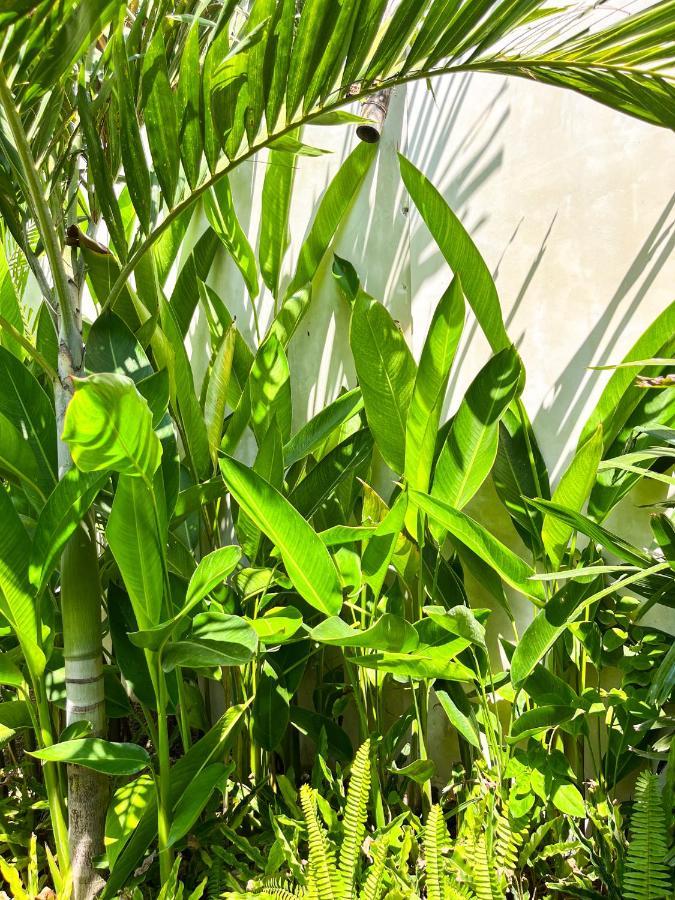 Las Flores Lombok Kuta  Eksteriør bilde